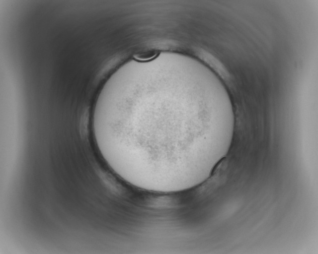 X0000111390058200907311122