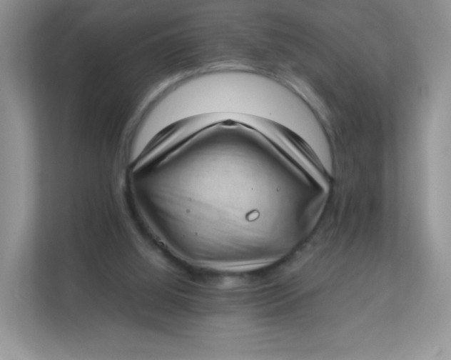 X0000111390060200907311122