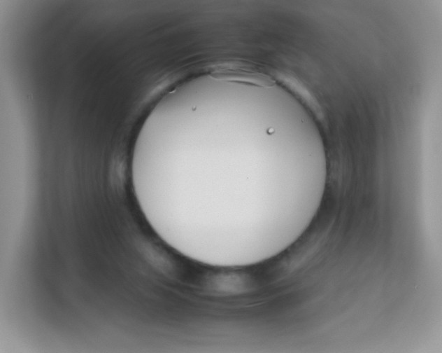 X0000111390063200907311122