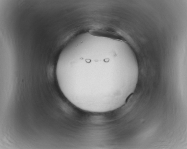 X0000111390066200907311122