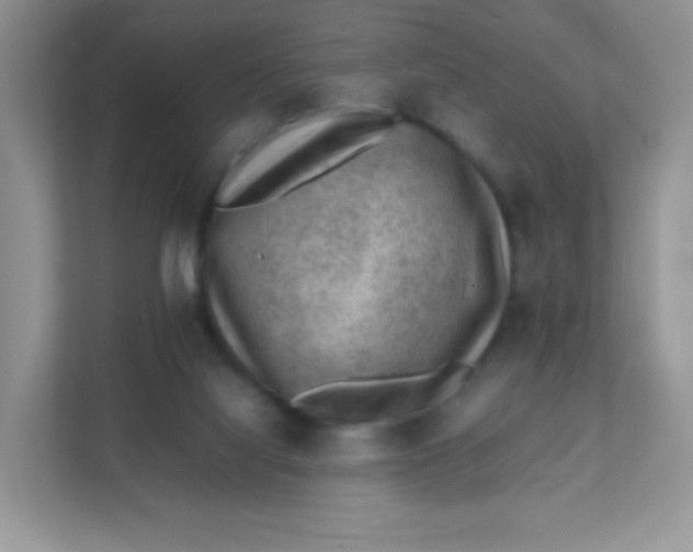 X0000111390068200907311122