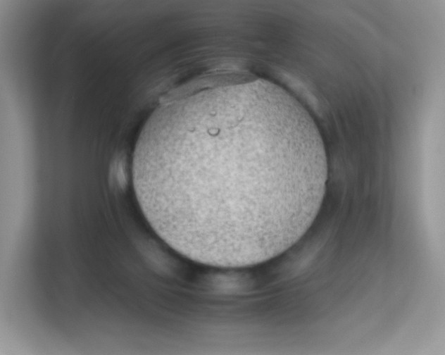 X0000111390069200907311122