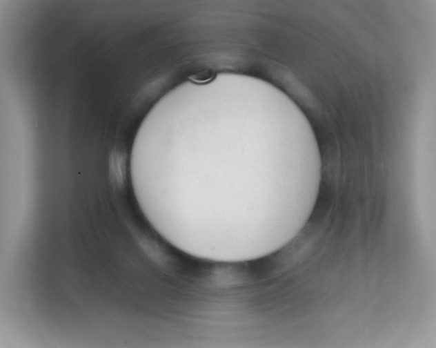 X0000111390070200907311122