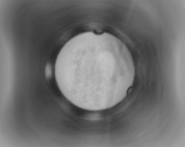 X0000111390075200907311122