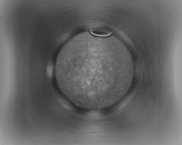 X0000111390076200907311122