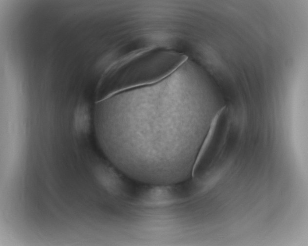 X0000111390080200907311122