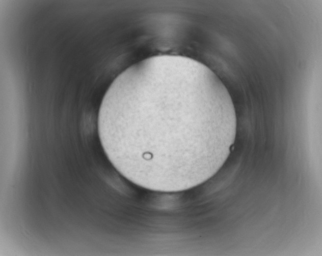 X0000111390081200907311122