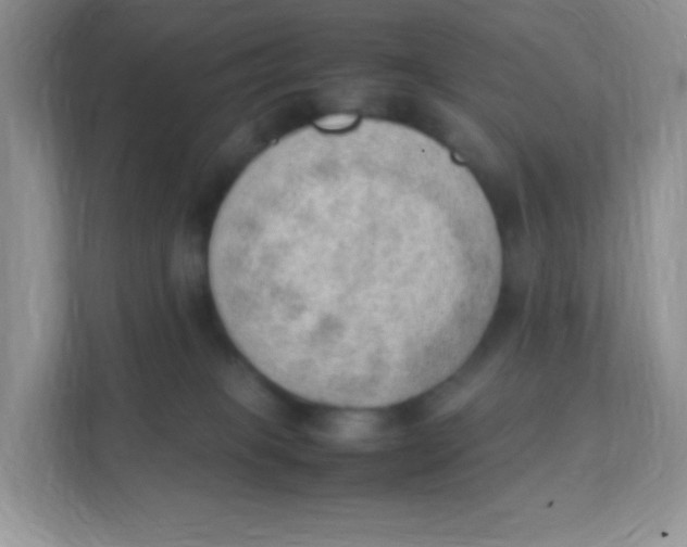 X0000111390085200907311122