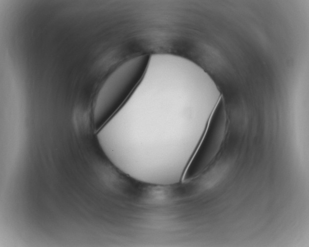 X0000111390088200907311122