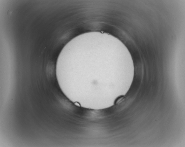 X0000111390092200907311122