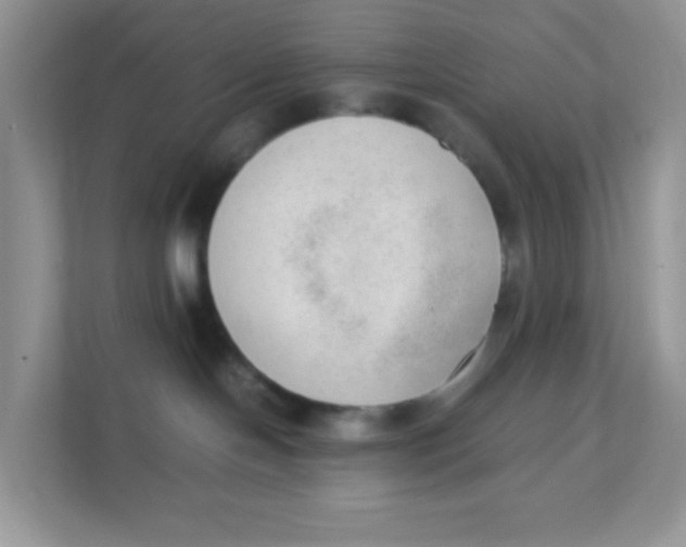 X0000111390094200907311122