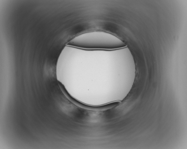 X0000111390096200907311122