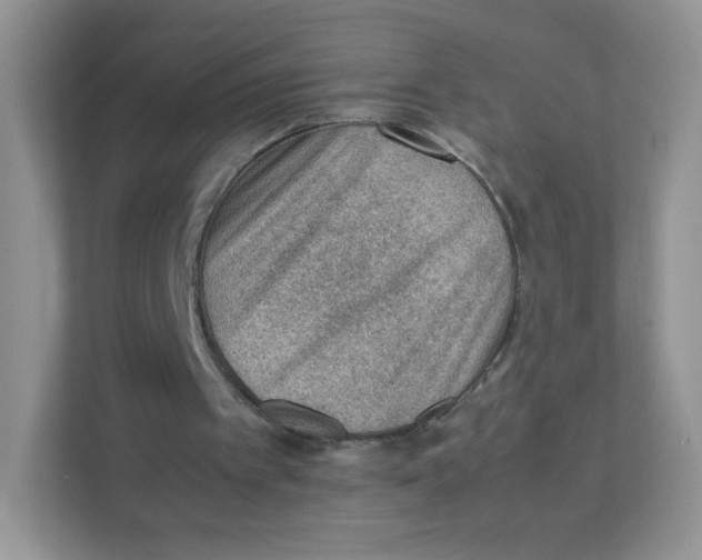 X0000111390097200907311122