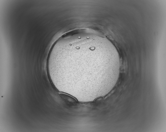 X0000111390099200907311122