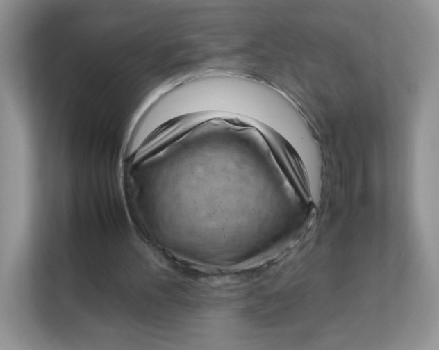 X0000111390100200907311122