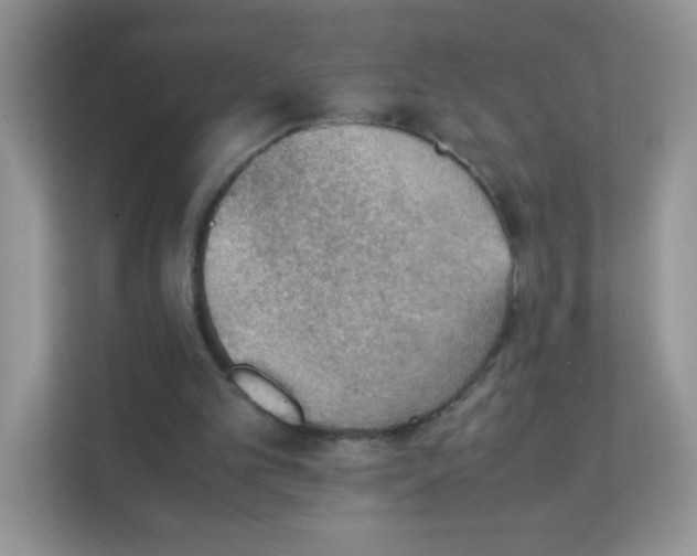 X0000111390101200907311122