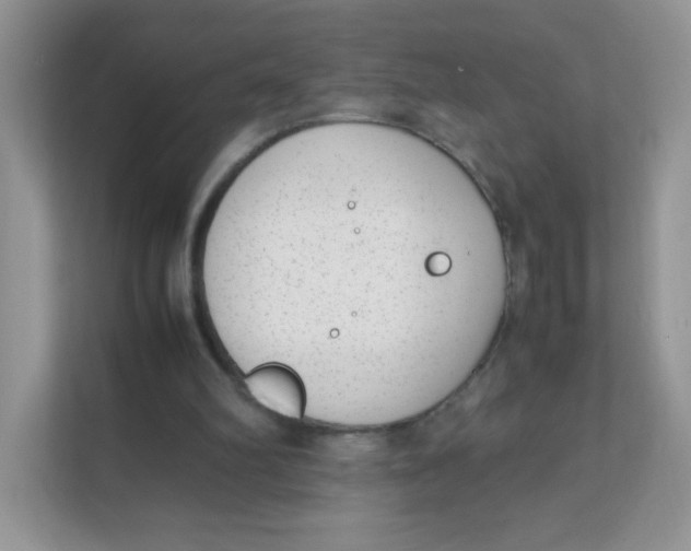 X0000111390102200907311122