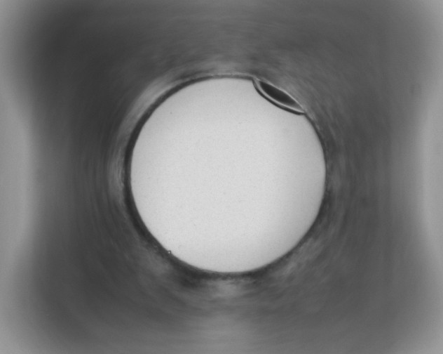 X0000111390103200907311122