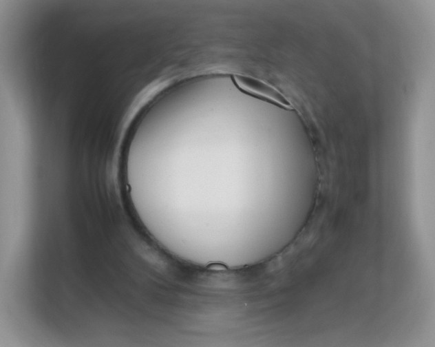 X0000111390104200907311122