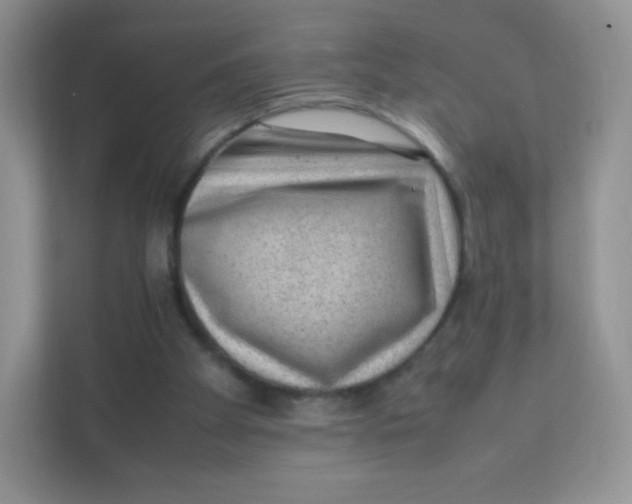 X0000111390105200907311122