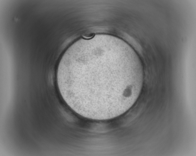 X0000111390107200907311122