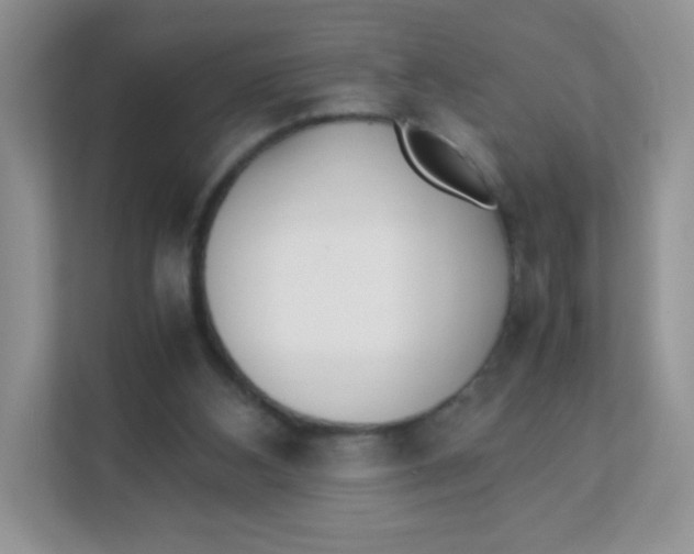 X0000111390108200907311122