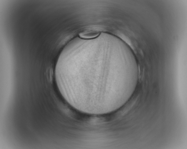 X0000111390109200907311122