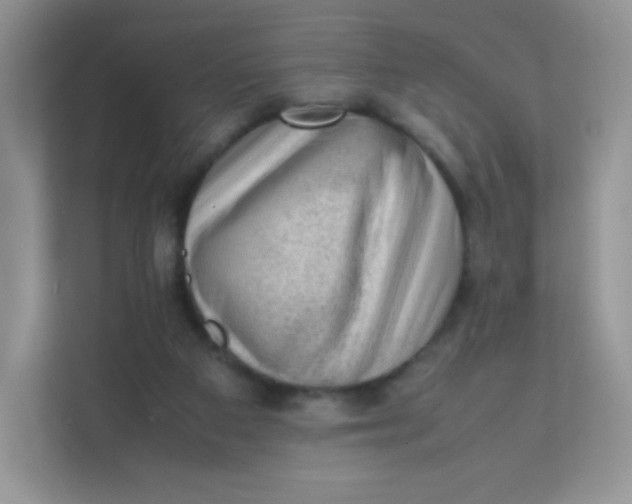 X0000111390113200907311122