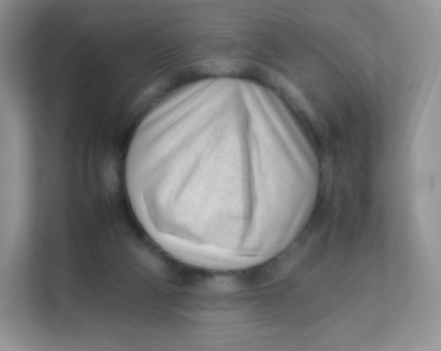 X0000111390114200907311122