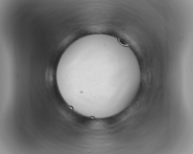 X0000111390115200907311122