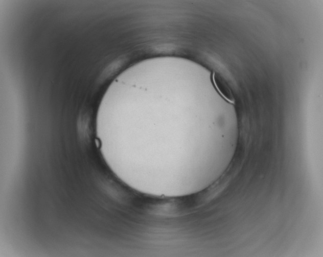 X0000111390116200907311122