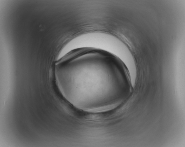 X0000111390117200907311122