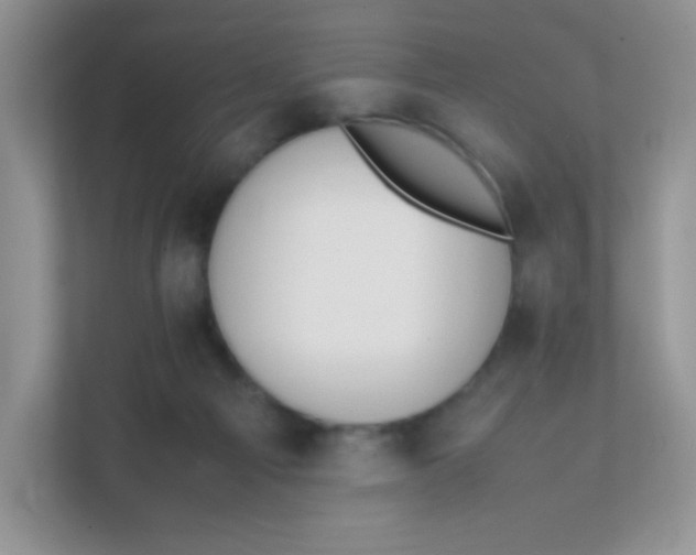 X0000111390121200907311121