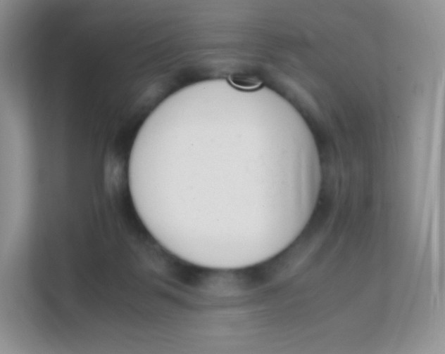 X0000111390123200907311121