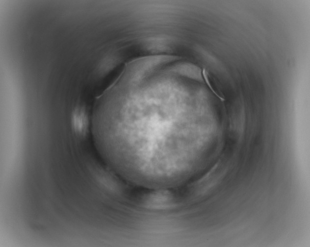 X0000111390124200907311121