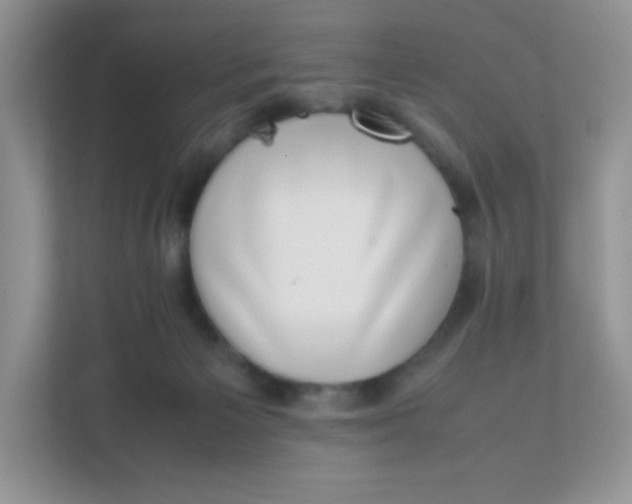 X0000111390125200907311121