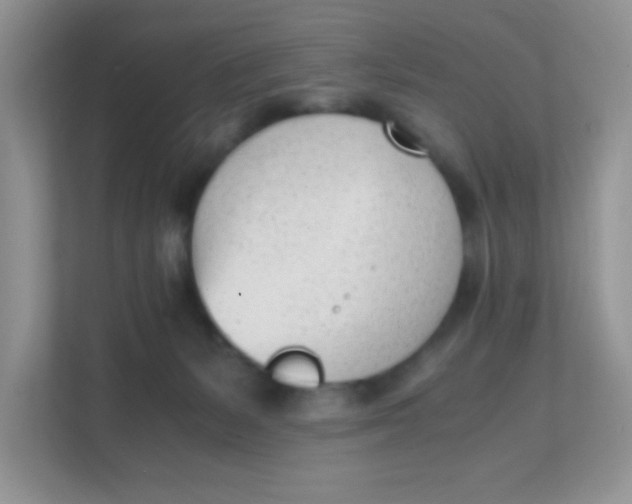 X0000111390127200907311121