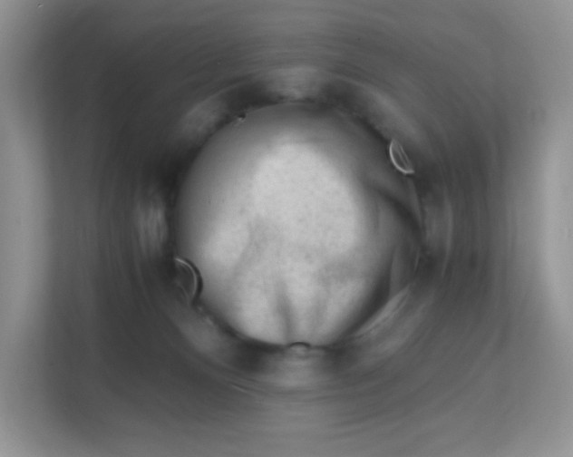 X0000111390128200907311121