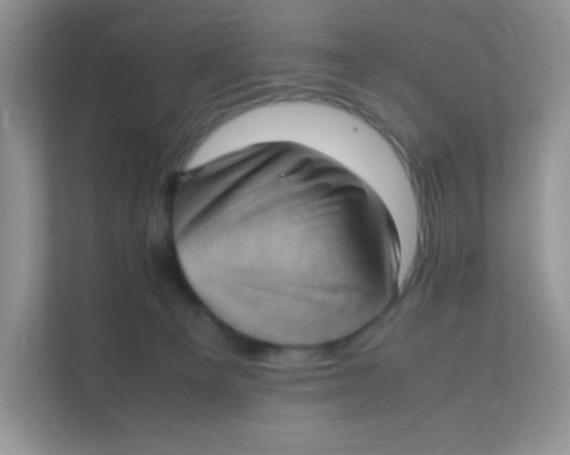 X0000111390129200907311121