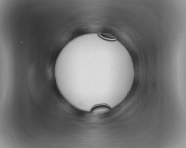 X0000111390131200907311121