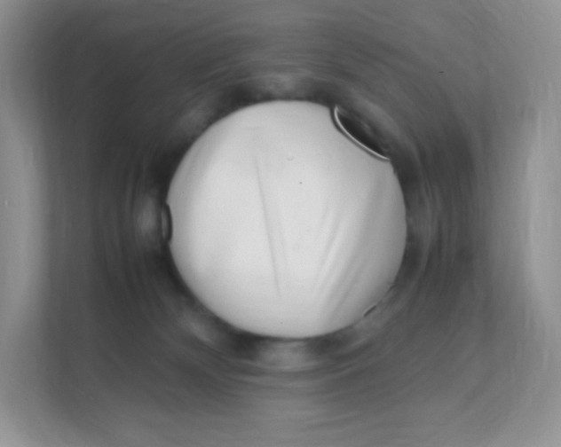 X0000111390132200907311121