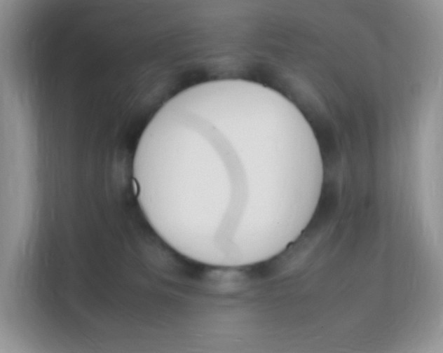 X0000111390133200907311121