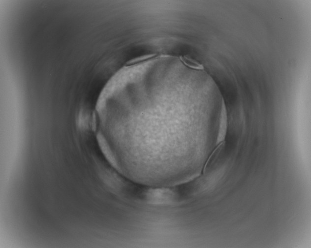 X0000111390137200907311121