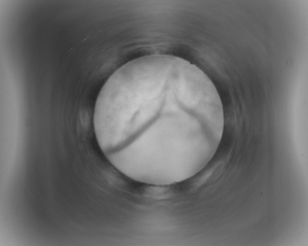 X0000111390139200907311121