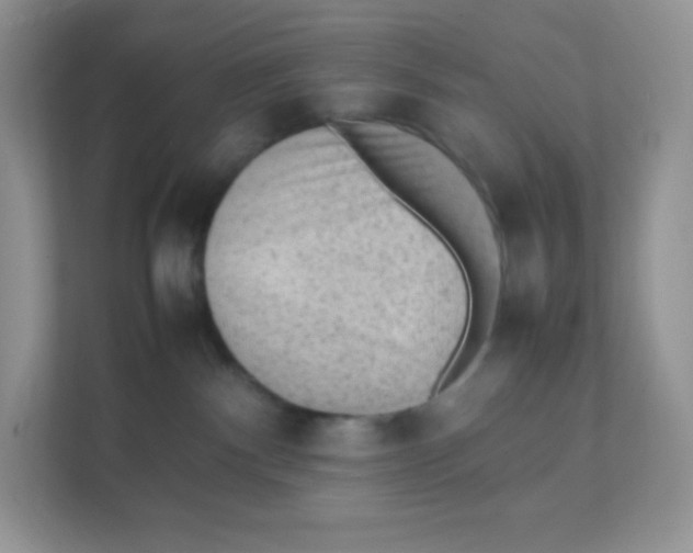 X0000111390140200907311121