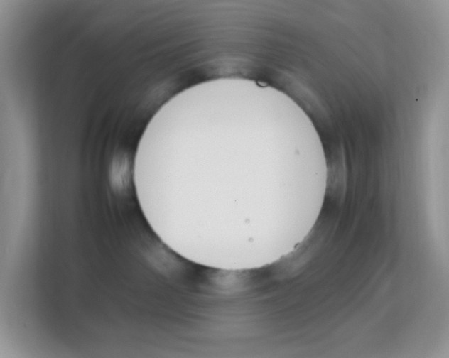 X0000111390142200907311121