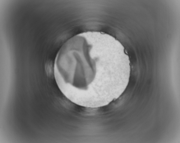 X0000111390143200907311121