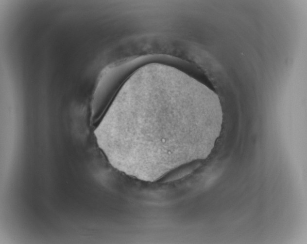 X0000111390144200907311121