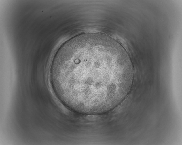 X0000111390145200907311121