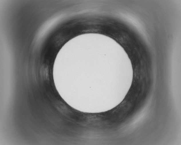 X0000111390146200907311121